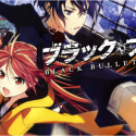  Black Bullet Review