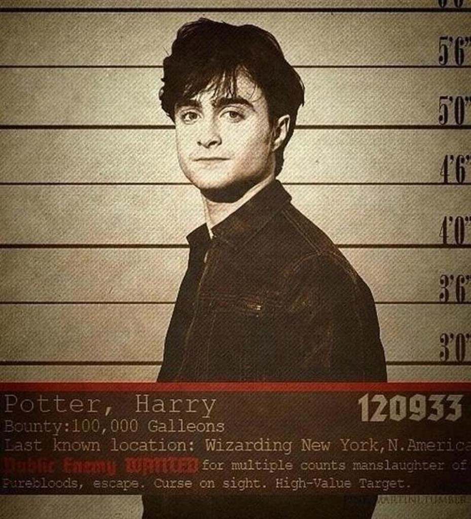 harry-potter1_1390499980-these-wanted-posters-show-the-bleak-world-where-voldemort-won-the-battle-of-hogwarts