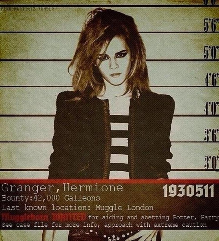 hermione-granger_1390499980-these-wanted-posters-show-the-bleak-world-where-voldemort-won-the-battle-of-hogwarts