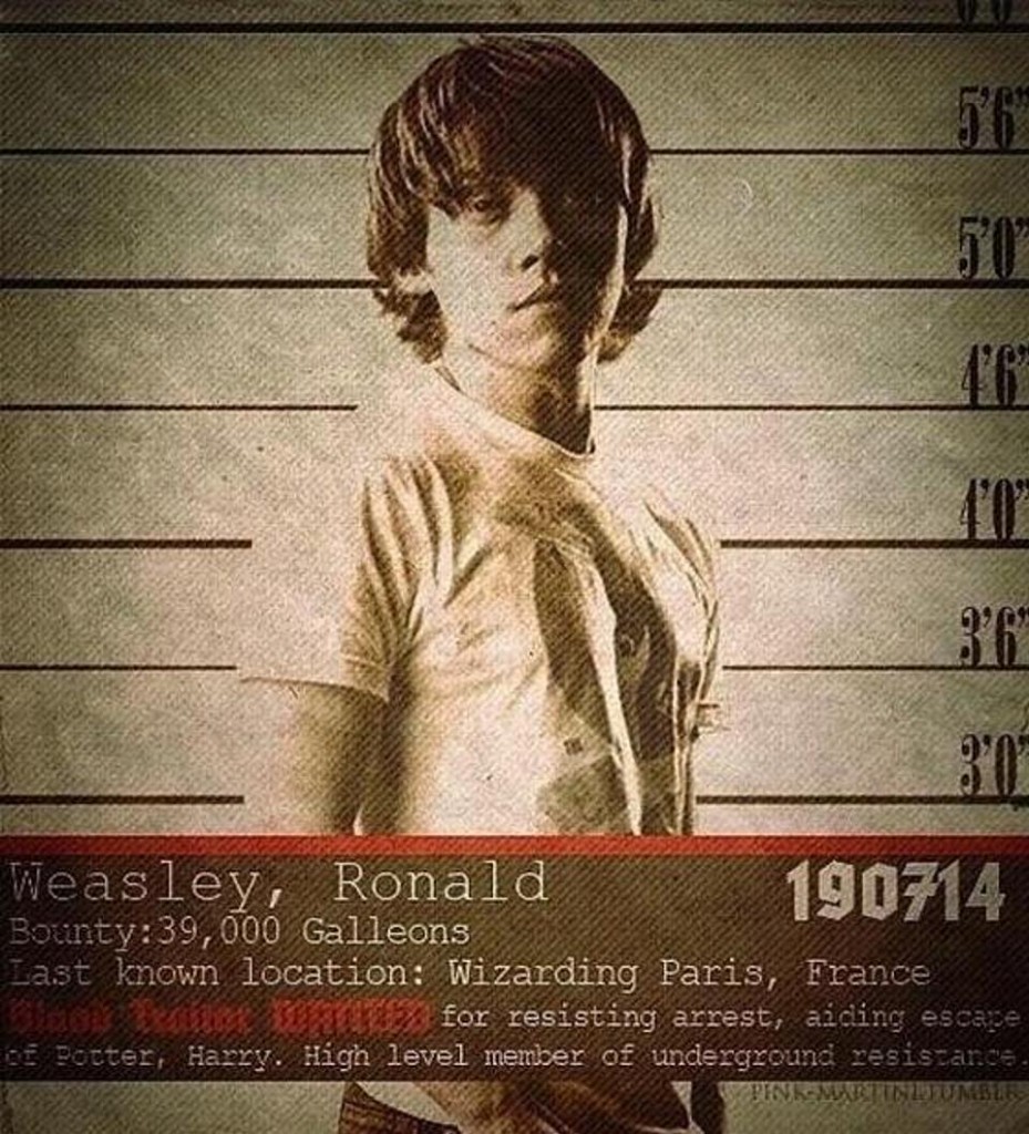 ronald-weasley-article_1390496829-these-wanted-posters-show-the-bleak-world-where-voldemort-won-the-battle-of-hogwarts